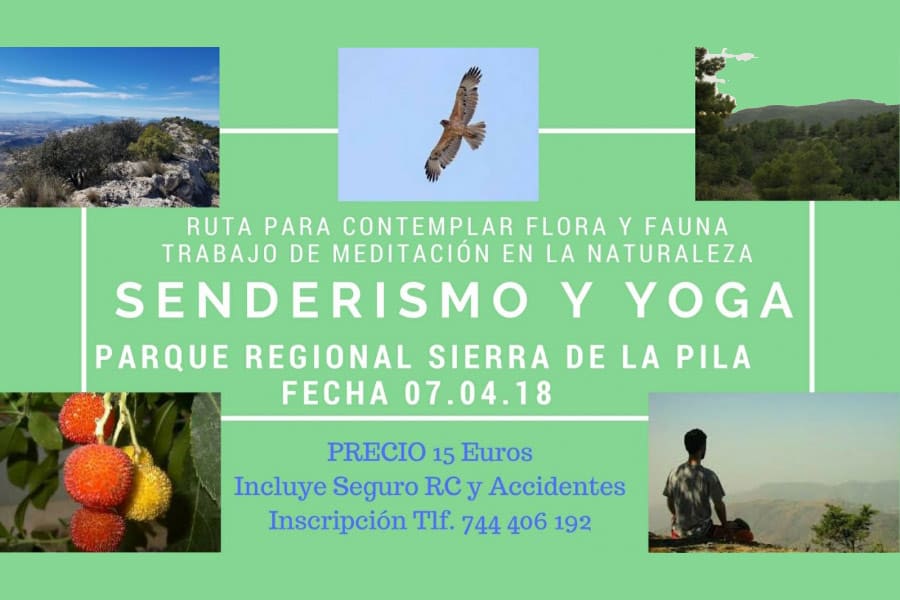 Senderismo y yoga